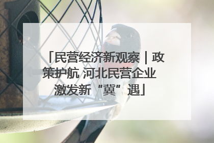 民营经济新观察｜政策护航 河北民营企业激发新“冀”遇