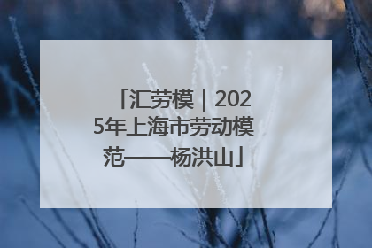 汇劳模｜2025年上海市劳动模范——杨洪山