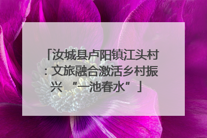 汝城县卢阳镇江头村：文旅融合激活乡村振兴 “一池春水”