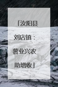 汝阳县刘店镇：薯业兴农助增收