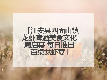 江安县四面山镇龙虾啤酒美食文化周启幕 每日推出百桌龙虾宴