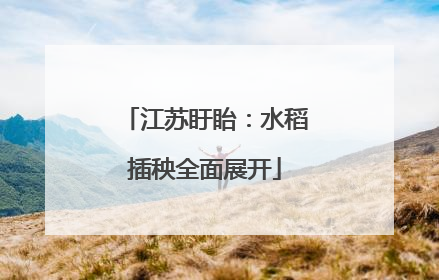 江苏盱眙：水稻插秧全面展开