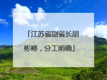 江苏省副省长胡彬郴，分工明确