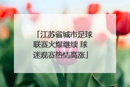 江苏省城市足球联赛火爆继续 球迷观赛热情高涨