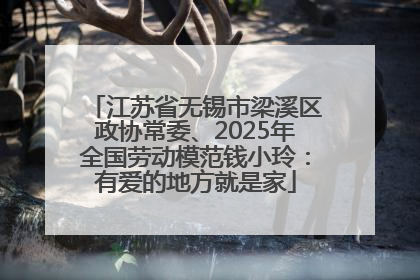 江苏省无锡市梁溪区政协常委、2025年全国劳动模范钱小玲：有爱的地方就是家