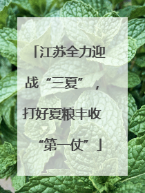江苏全力迎战“三夏”，打好夏粮丰收“第一仗”