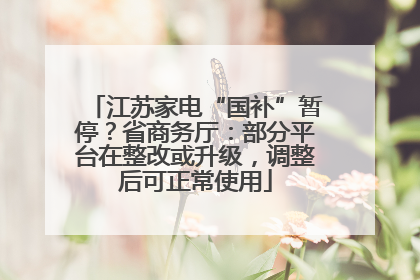 江苏家电“国补”暂停？省商务厅：部分平台在整改或升级，调整后可正常使用