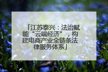 江苏泰兴：法治赋能“云端经济”，构建电商产业全链条法律服务体系