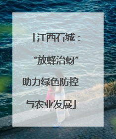 江西石城：“放蜂治蚜”助力绿色防控与农业发展