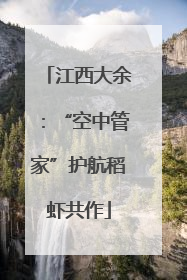 江西大余：“空中管家”护航稻虾共作