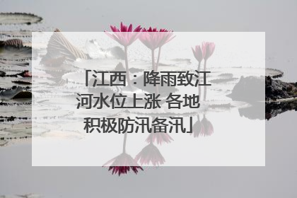 江西：降雨致江河水位上涨 各地积极防汛备汛