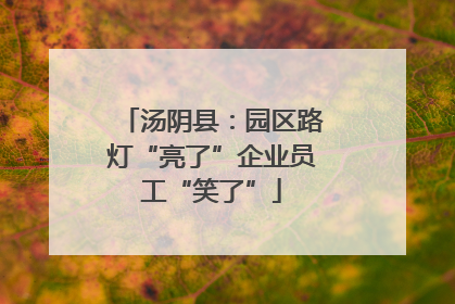 汤阴县：园区路灯“亮了”企业员工“笑了”