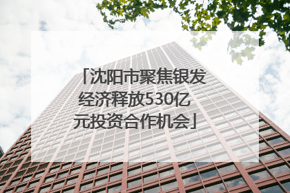 沈阳市聚焦银发经济释放530亿元投资合作机会