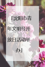 沈阳市青年文明号开放日活动举办