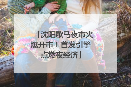 沈阳歇马夜市火爆开市！首发引擎点燃夜经济