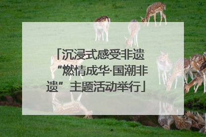 沉浸式感受非遗 “燃情成华·国潮非遗”主题活动举行