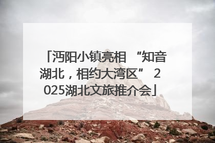 沔阳小镇亮相 “知音湖北，相约大湾区” 2025湖北文旅推介会