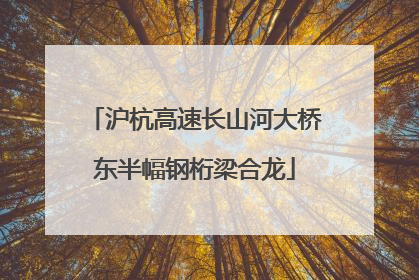 沪杭高速长山河大桥东半幅钢桁梁合龙