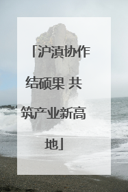 沪滇协作结硕果 共筑产业新高地