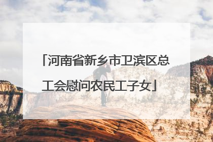 河南省新乡市卫滨区总工会慰问农民工子女