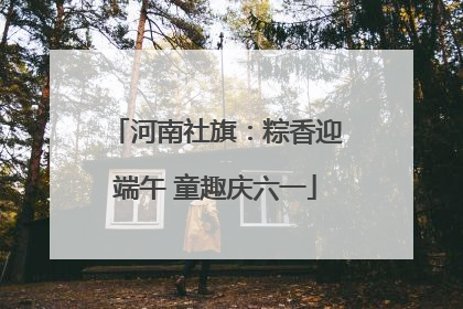河南社旗：粽香迎端午 童趣庆六一
