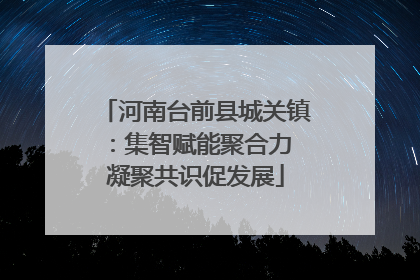 河南台前县城关镇：集智赋能聚合力 凝聚共识促发展