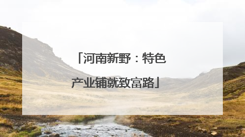 河南新野：特色产业铺就致富路