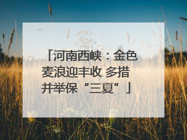 河南西峡：金色麦浪迎丰收 多措并举保“三夏”