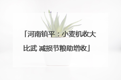 河南镇平：小麦机收大比武 减损节粮助增收
