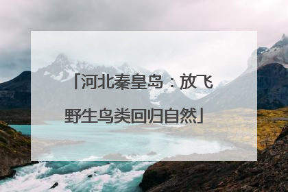 河北秦皇岛：放飞野生鸟类回归自然