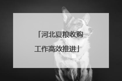 河北夏粮收购工作高效推进