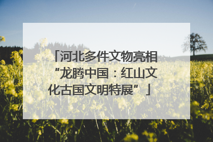河北多件文物亮相“龙腾中国：红山文化古国文明特展”