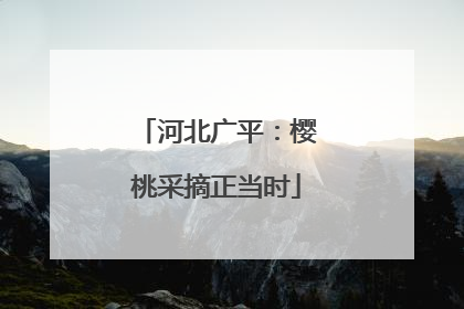 河北广平：樱桃采摘正当时