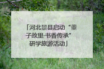 河北景县启动“董子故里·书香传承”研学旅游活动