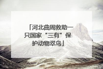 河北曲周救助一只国家“三有”保护动物翠鸟