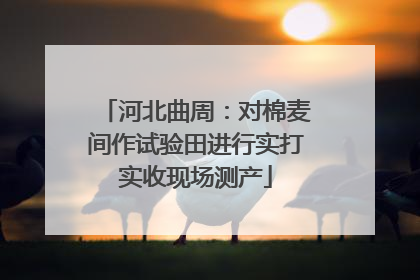 河北曲周：对棉麦间作试验田进行实打实收现场测产