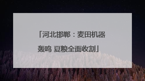 河北邯郸：麦田机器轰鸣 夏粮全面收割
