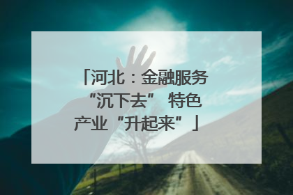 河北：金融服务“沉下去” 特色产业“升起来”