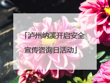 泸州纳溪开启安全宣传咨询日活动