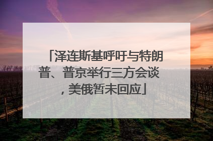 泽连斯基呼吁与特朗普、普京举行三方会谈，美俄暂未回应