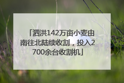 泗洪142万亩小麦由南往北陆续收割，投入2700余台收割机