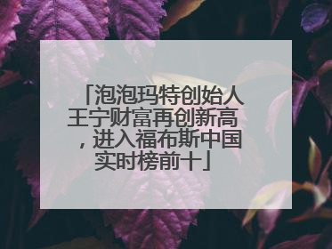 泡泡玛特创始人王宁财富再创新高，进入福布斯中国实时榜前十