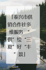 泰兴市供销合作社多维服务 “供”绘“三夏”好“丰”景