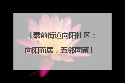 泰前街道向阳社区：向阳而居，五邻同聚
