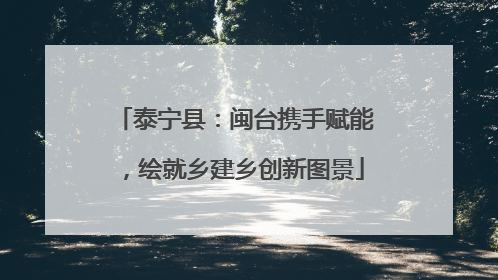 泰宁县：闽台携手赋能，绘就乡建乡创新图景