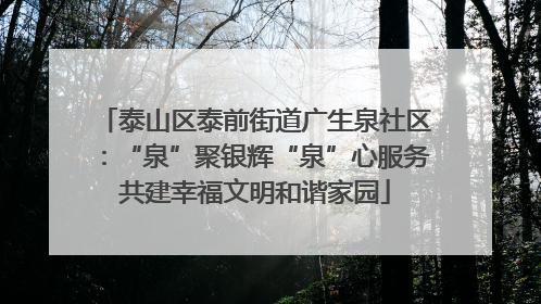 泰山区泰前街道广生泉社区：“泉”聚银辉“泉”心服务共建幸福文明和谐家园