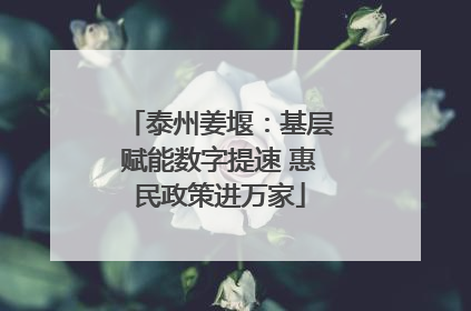 泰州姜堰：基层赋能数字提速 惠民政策进万家