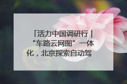 活力中国调研行｜“车路云网图”一体化，北京探索自动驾驶“加速度”