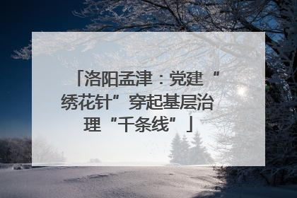 洛阳孟津：党建“绣花针”穿起基层治理“千条线”