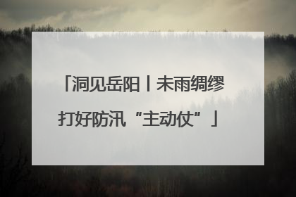 洞见岳阳丨未雨绸缪 打好防汛“主动仗”